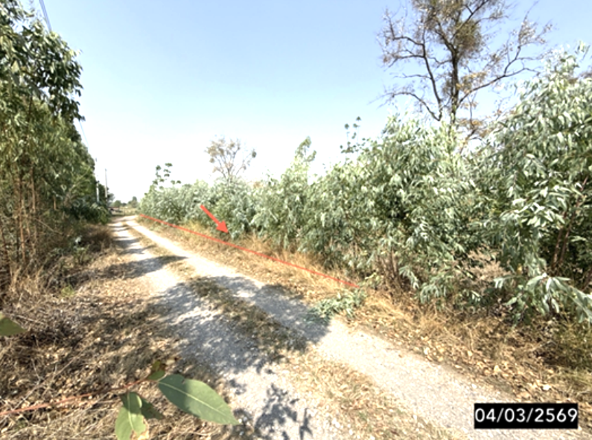 รูป ที่ดินว่างเปล่า 1860 ตร.วา พล ขอนแก่น 1.3M - รูปที่ 8/14