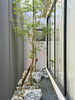 listing thumbnail image 28