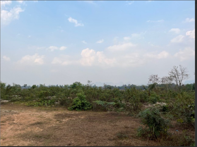 picture PROPERTY 683.5 Sq.w. Muang Nakhon Phanom Nakhon Phanom for 31M - 6/36