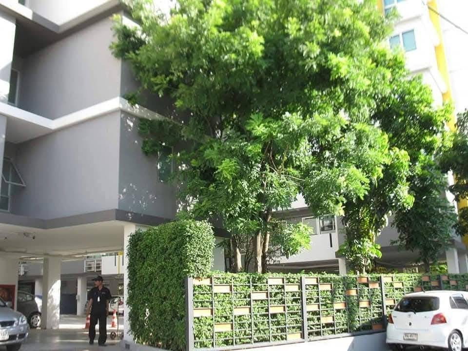 picture ME2500147 Condo For Rent My Condo Sukhumvit 52 - 14/15