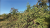 listing thumbnail image 23
