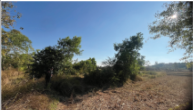 picture PROPERTY 683.5 Sq.w. Muang Nakhon Phanom Nakhon Phanom for 31M - 15/36