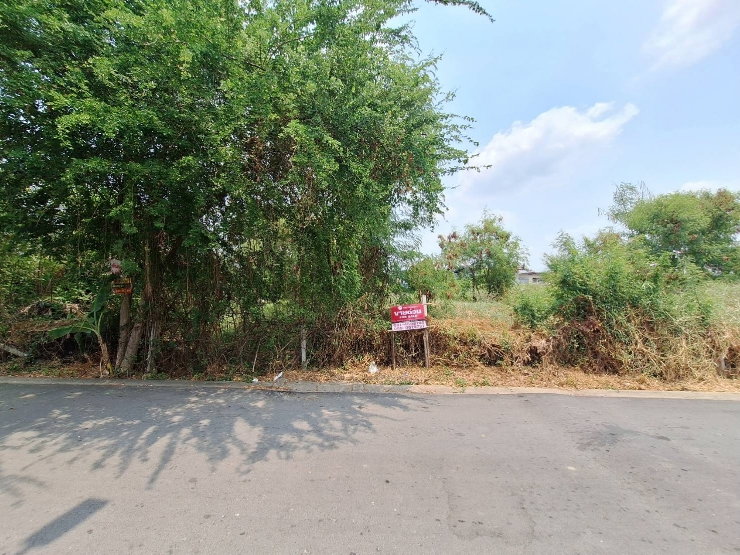 รูป ขายที่ดิน พหลโยธิน 54/1 ใกล้ BTS สะพานใหม่ เพียง 3.6 ล้าน | 109 ตร.ว. ถมแล้ว แปลงสวย 33,000/ตร. - รูปที่ 5/11