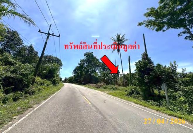 picture LAND 440 Sq.w. Si Sakhon Narathiwat for 660,000 - 2/14