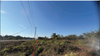 listing thumbnail image 31