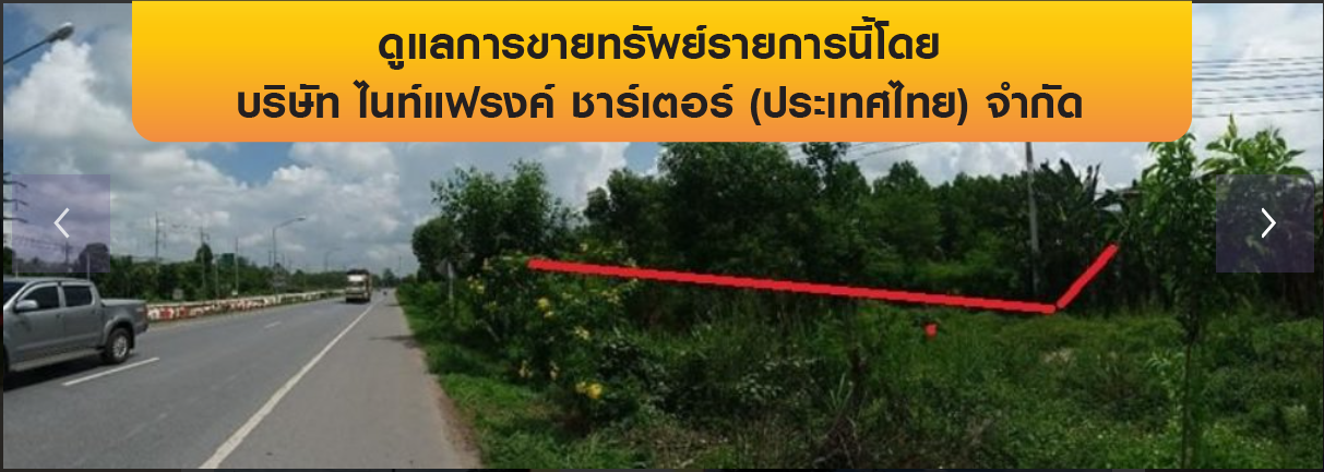 รูป ที่ดินว่างเปล่า 9513.3 ตร.วา ป่าบอน-พัทลุง ป่าบอน พัทลุง 62M - รูปที่ 7/8
