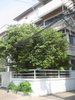 listing thumbnail image 1