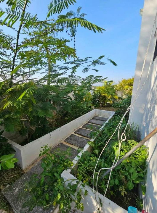 รูป บ้านหลังใหญ่วิวสวย วิวทุ่งนา บ้านมือสองทำเลชานเมืองเป็นส่วนตัว #CSS101899 - รูปที่ 16/16