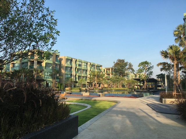 รูป คอนโดให้เช่า ลุมพินี พาร์คบีชชะอำ ห้องสวยพร้อมอยู่ 8000/ด เฟอร์นิเจอร์,เครื่องใช้ไฟฟ้าครบ - รูปที่ 10/15