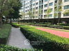 listing thumbnail image 12