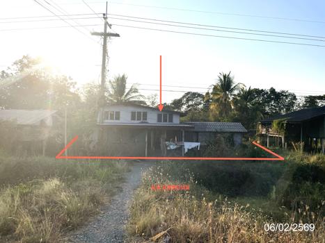 picture HOME 136 Sq.w. Dong Charoen Phichit for 1.1M - 11/14