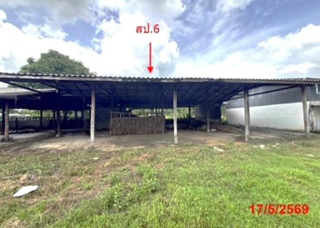 picture FACTORY 6309 Sq.w. Khlong Thom Krabi for 31.7M - 11/56
