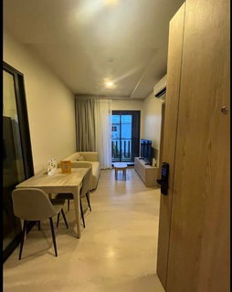 รูปภาพ A038404 PYNN Pridi 20