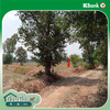 listing thumbnail image 21