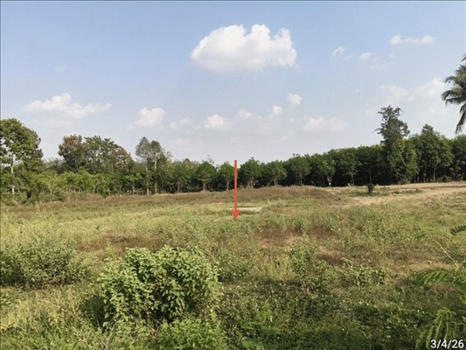 รูป ที่ดินว่างเปล่า 940.5 ตร.วา สังขะ สุรินทร์ 1.4M - รูปที่ 7/10