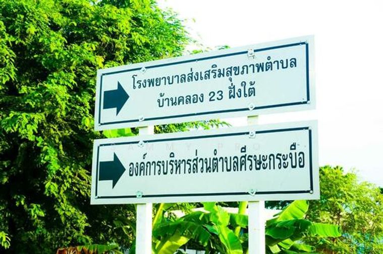 ขายที่ดินเปล่าพระอาจารย์ องครักษ์ นครนายก 8แปลง 100-150ตรว