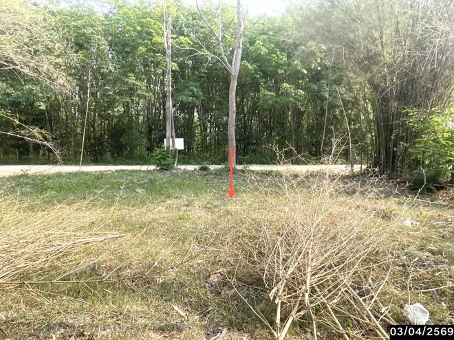 picture FACTORY 700 Sq.w. Nong Rua Khon Kaen for 417,000 - 5/20