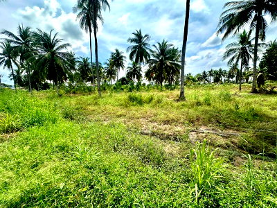 Land for rent : Prime land for rent in Bueng, Sriracha, Chonburi.