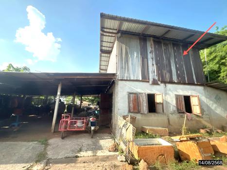 picture HOME 76 Sq.w. Kong Chai Kalasin for 424,000 - 11/14