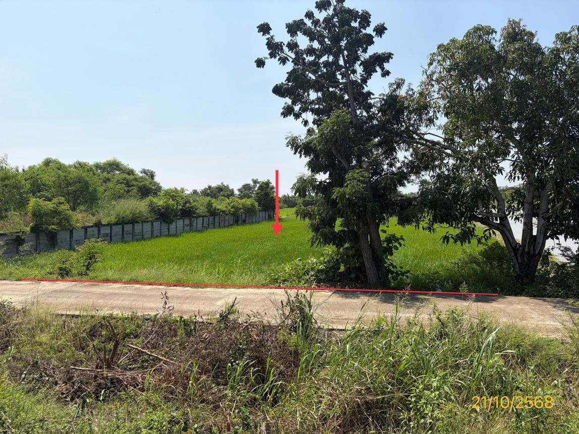 picture LAND 1523 Sq.w. Phrom Phiram Phitsanulok for 3M - 7/16