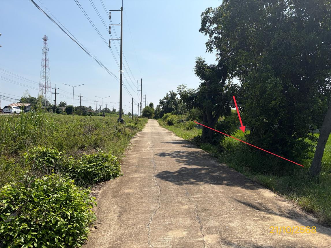 picture LAND 1523 Sq.w. Phrom Phiram Phitsanulok for 3M - 10/16