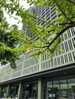 listing thumbnail image 10