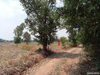 listing thumbnail image 20