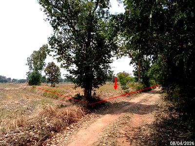 LAND 2094 Sq.w. Bua Lai Nakhon Ratchasima for 1.5M