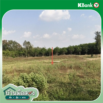 รูป ที่ดินว่างเปล่า 940.5 ตร.วา สังขะ สุรินทร์ 1.4M - รูปที่ 8/10