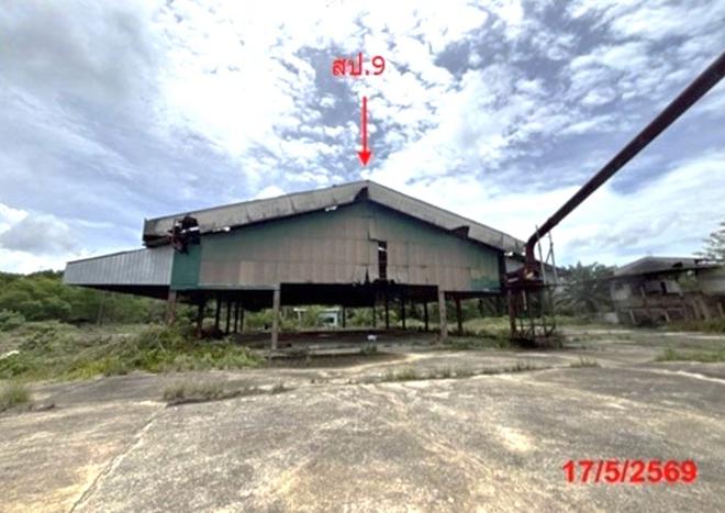 picture FACTORY 6309 Sq.w. Khlong Thom Krabi for 31.7M - 14/56