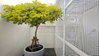 listing thumbnail image 14