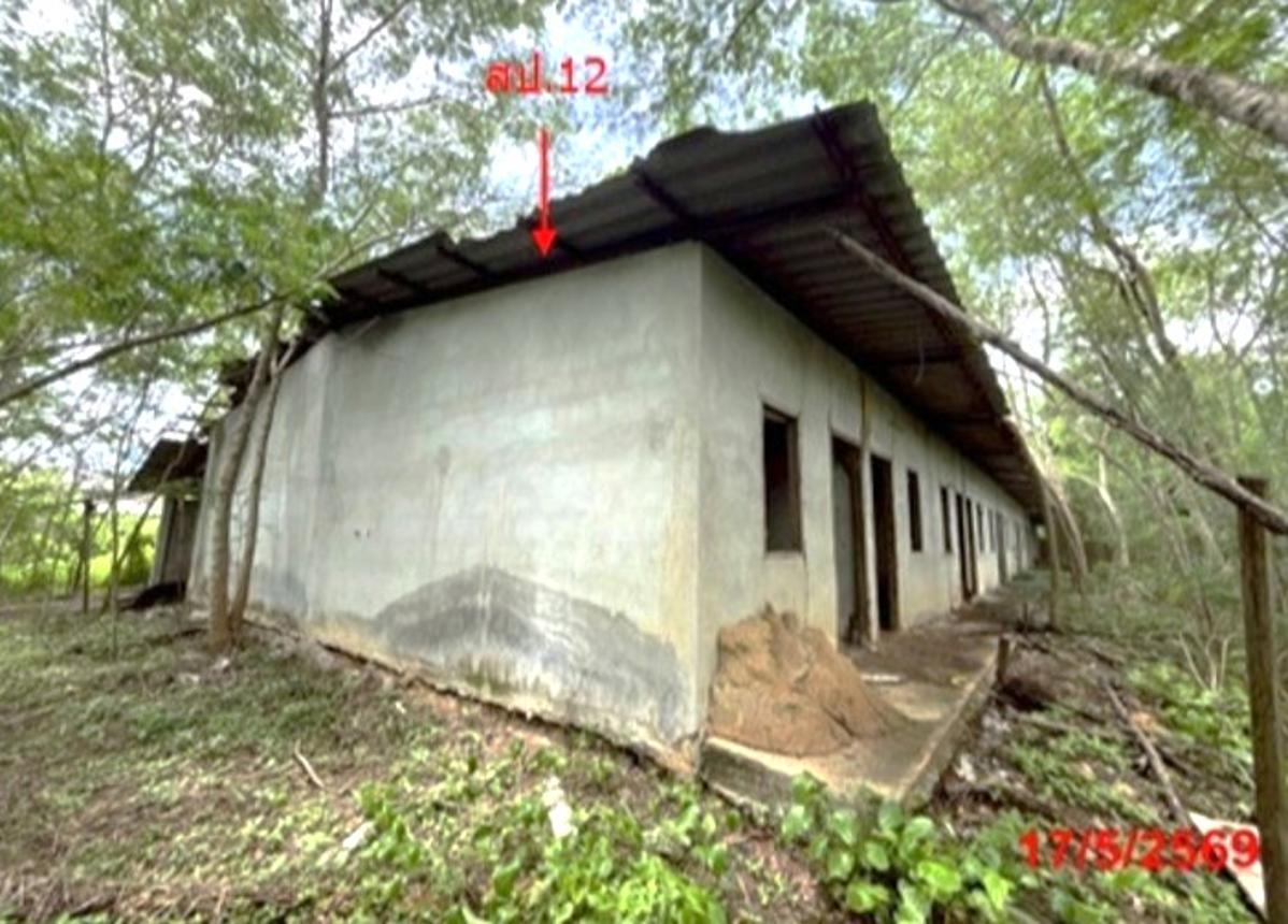 picture FACTORY 6309 Sq.w. Khlong Thom Krabi for 31.7M - 44/56