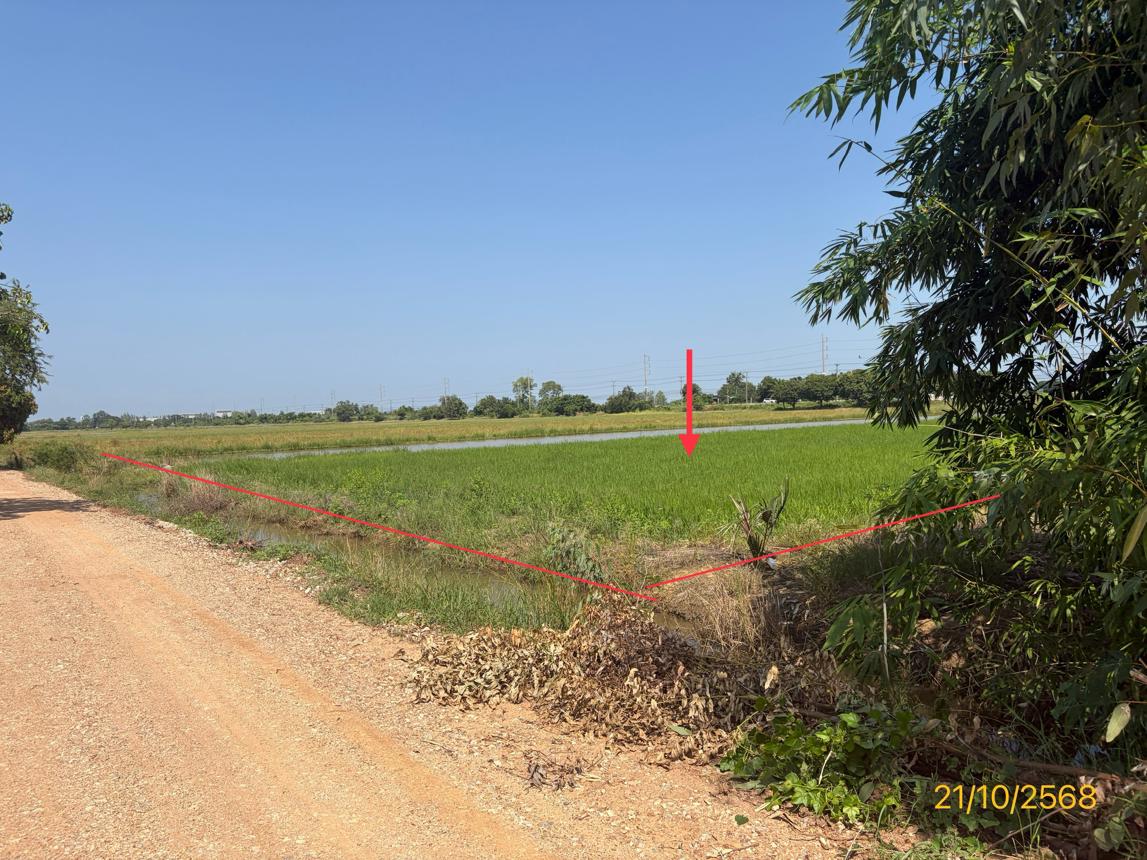 picture LAND 1523 Sq.w. Phrom Phiram Phitsanulok for 3M - 8/16