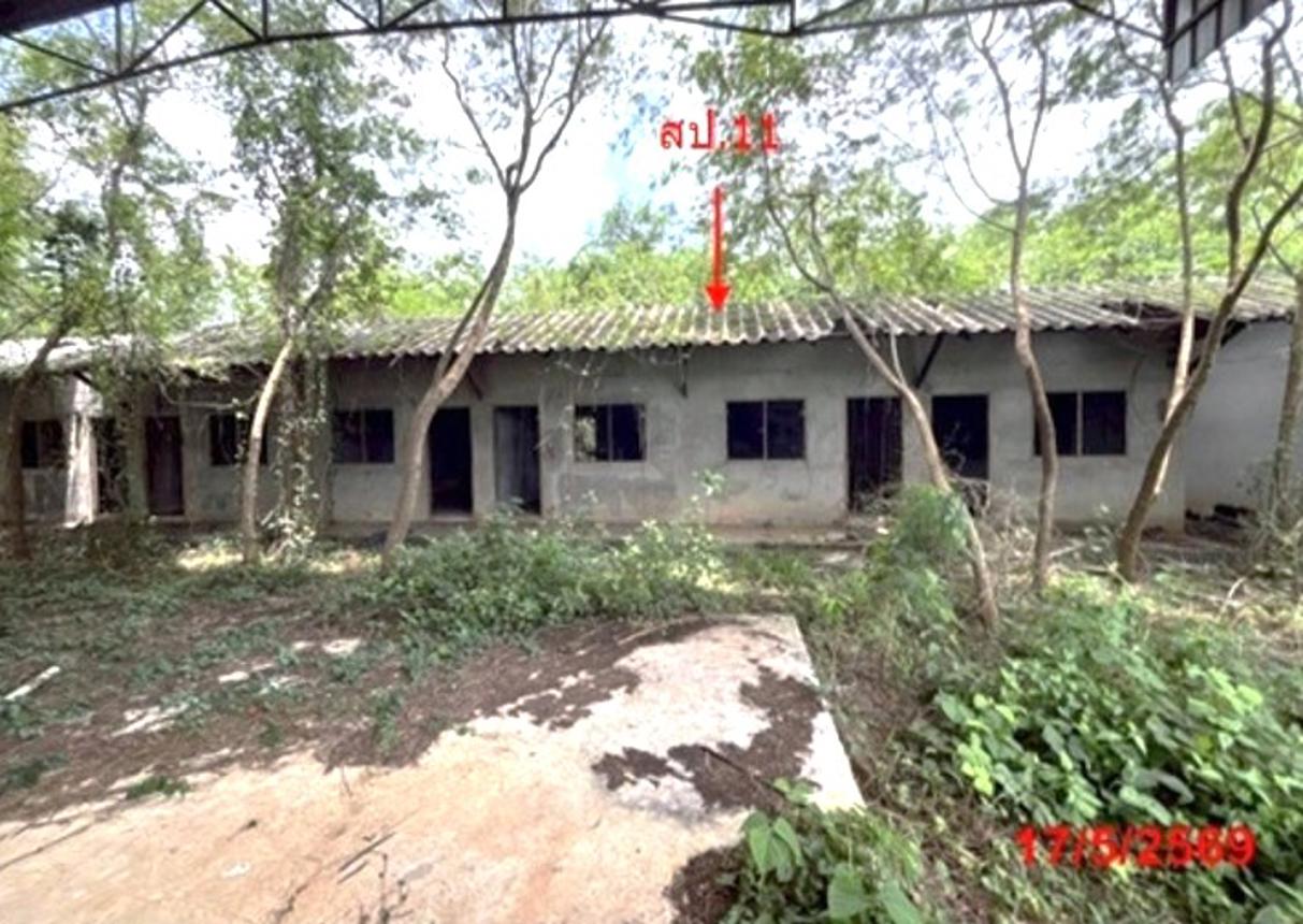 picture FACTORY 6309 Sq.w. Khlong Thom Krabi for 31.7M - 43/56
