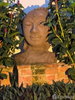 listing thumbnail image 44