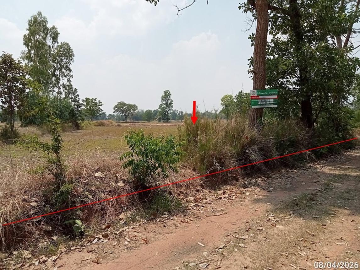 รูป ที่ดินว่างเปล่า 2094 ตร.วา บัวลาย นครราชสีมา 1.5M - รูปที่ 13/24