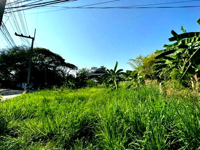 Land for sale Si Racha Chonburi : Beautiful plot of land for sale near the sea in Bang Phra, Si Racha, Chonburi.
