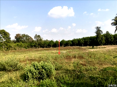 LAND 940.5 Sq.w. Sangkha Surin for 1.4M