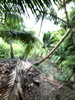 listing thumbnail image 11