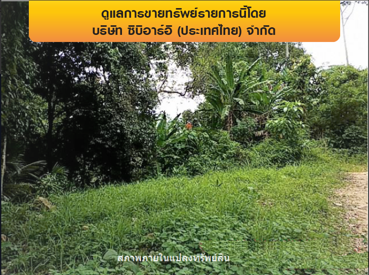 รูป ที่ดินว่างเปล่า 11778.5 ตร.วา เกาะสมุย-สุราษฎร์ธานี เกาะสมุย สุราษฎร์ธานี 110.2M - รูปที่ 6/12