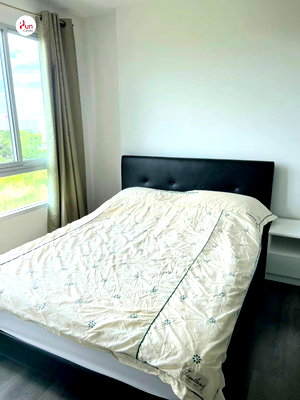 Condos for rent : dcondo Campus resort -Rangsit for rent.