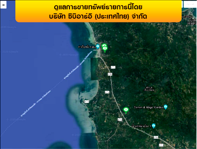บ้านเดี่ยว เกาะสมุย สุราษฎร์ธานี : ที่ดินว่างเปล่า 11778.5 ตร.วา เกาะสมุย-สุราษฎร์ธานี เกาะสมุย สุราษฎร์ธานี 110.2M