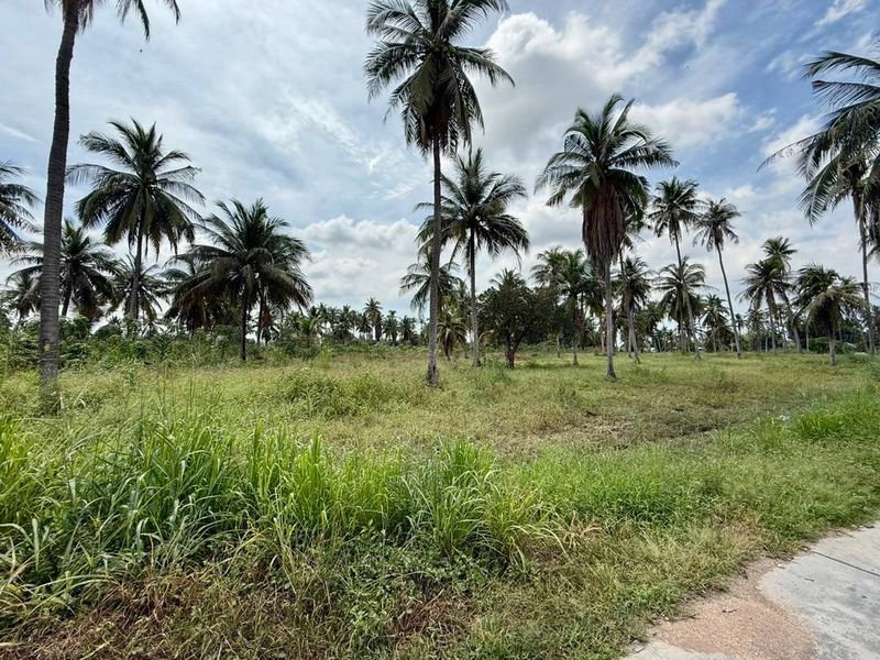 picture Prime land for rent in Bueng, Sriracha, Chonburi. - 3/12