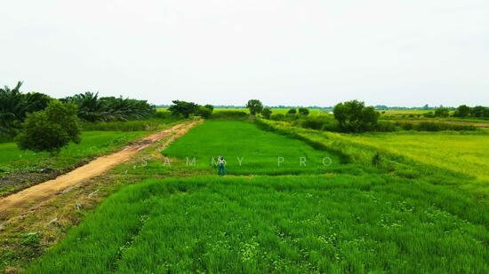picture Empty land for sale, Phra Achan Ongkharak, Nakhon Nayok - 2/4