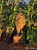 listing thumbnail image 46