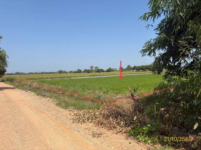 picture LAND 1523 Sq.w. Phrom Phiram Phitsanulok for 3M - 2/16