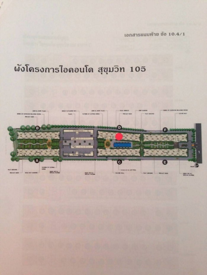 รูป Icondo สุขุมวิท105 ทำเลทอง 1 ห้องนอน 31.07 ตรม. ชั้น 8 วิวสระว่ายน้ำ - รูปที่ 13/14