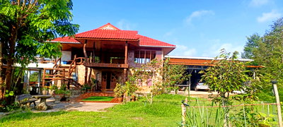 Houses for sale Nam Nao Phetchabun : Orchard Property for Sale with 3 house 