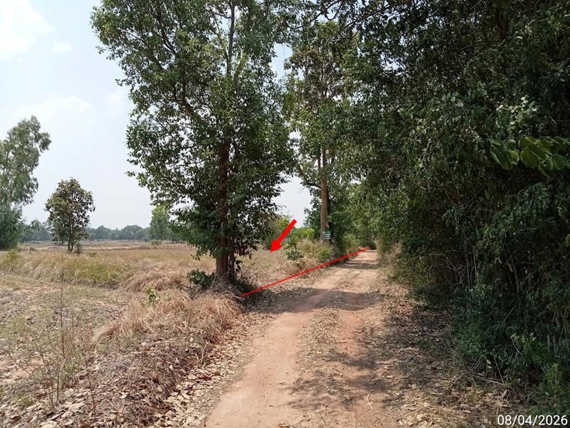 รูป ที่ดินว่างเปล่า 2094 ตร.วา บัวลาย นครราชสีมา 1.5M - รูปที่ 20/24
