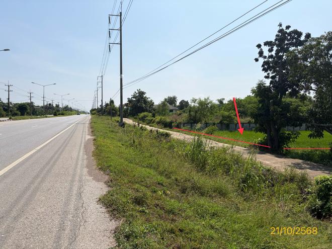 picture LAND 1523 Sq.w. Phrom Phiram Phitsanulok for 3M - 3/16